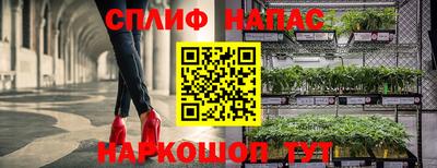 таблы Будённовск